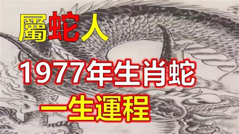 1977年屬蛇|關於1977年「生肖屬蛇人」，這一生命運如何？